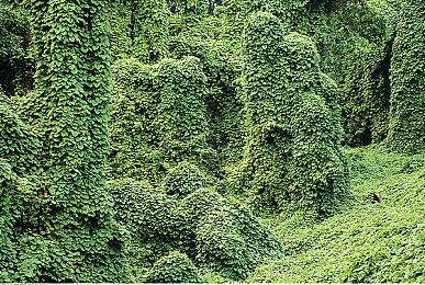 消息指出《滑板4》进入测试阶段 或将于近期公布